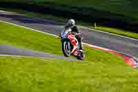 Middle Group Red Bikes